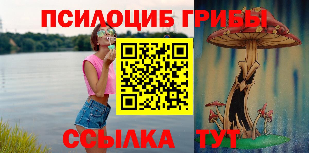 Гусев  Псилоцибиновые грибы GOLDEN TEACHER  Галлюциногенные грибы мухоморы  как найти закладки  Вход с VPN 