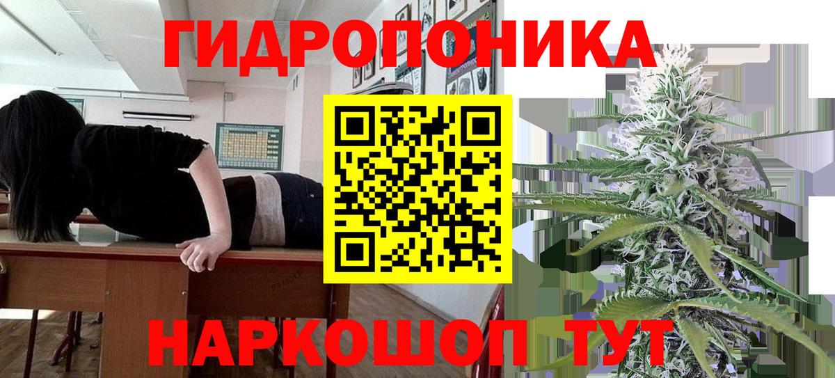 Гусев  МАРИХУАНА LSD WEED  Конопля марихуана  Вход с VPN 